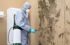 Berkeley, CA Mold Inspection Company